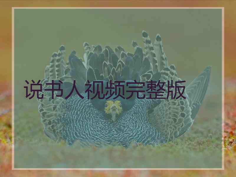说书人视频完整版