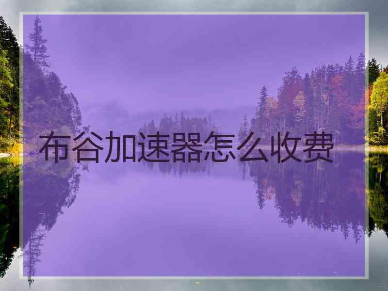 布谷加速器怎么收费