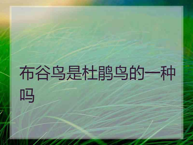 布谷鸟是杜鹃鸟的一种吗
