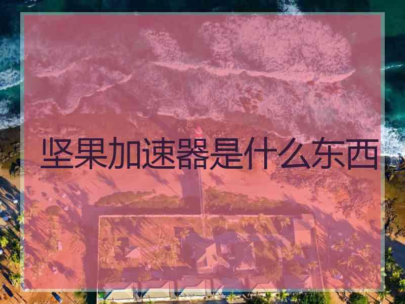 坚果加速器是什么东西
