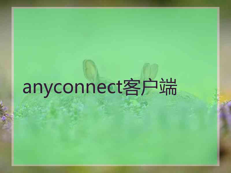 anyconnect客户端