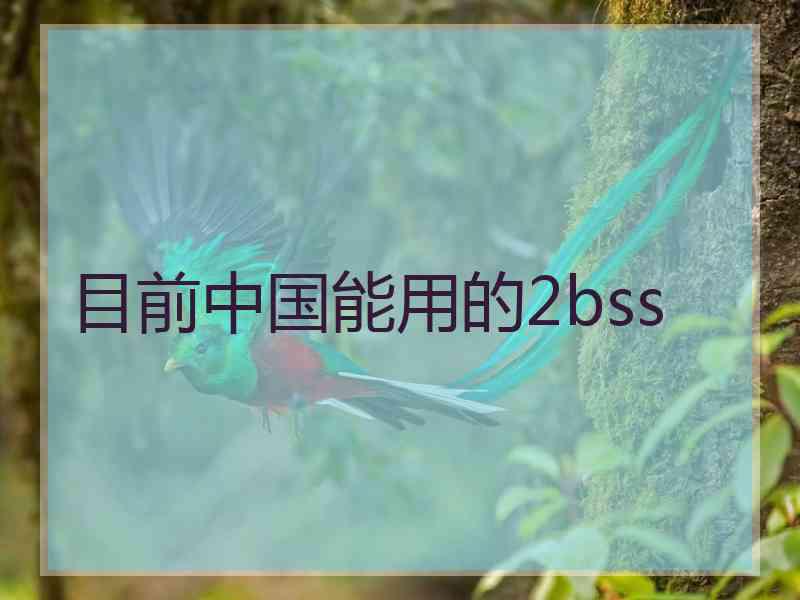 目前中国能用的2bss