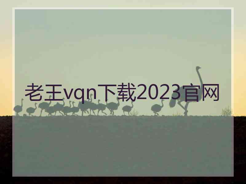 老王vqn下载2023官网