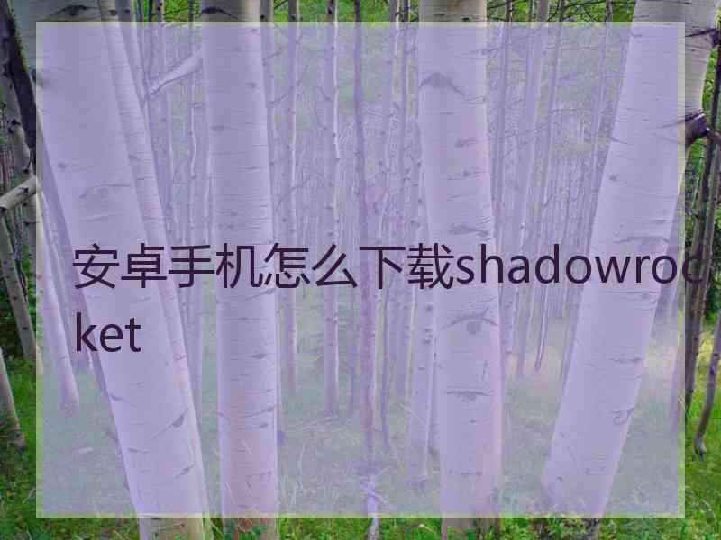 安卓手机怎么下载shadowrocket