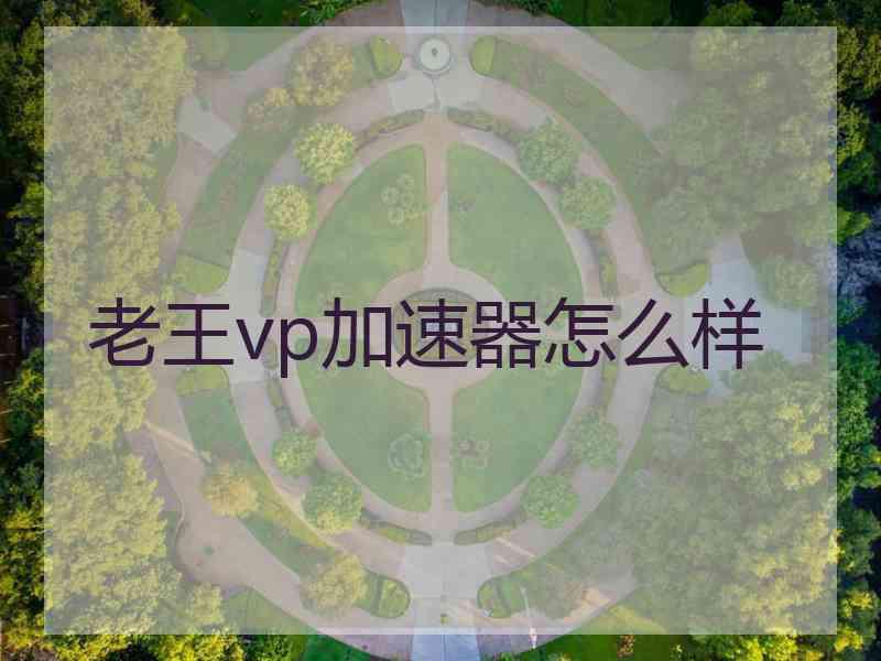 老王vp加速器怎么样