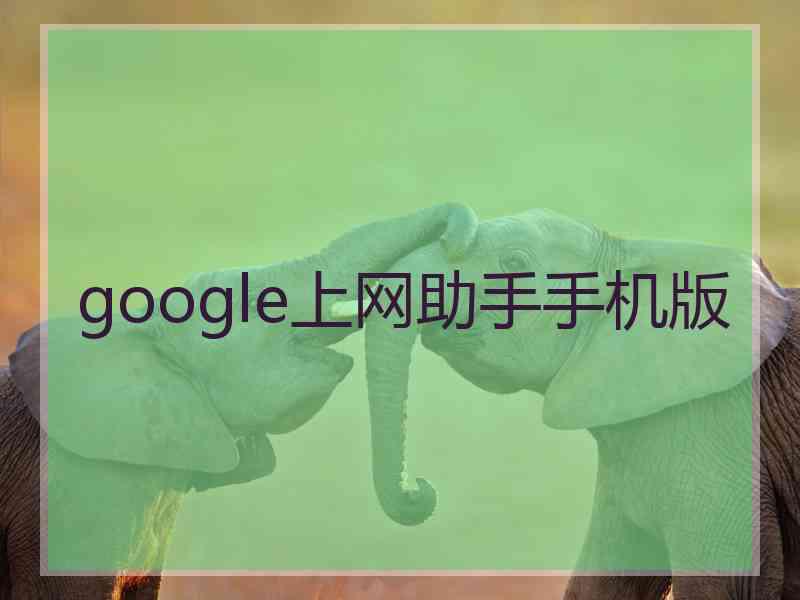 google上网助手手机版