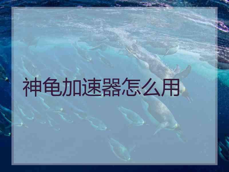 神龟加速器怎么用
