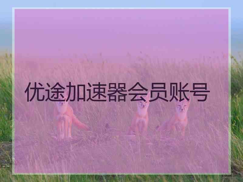 优途加速器会员账号