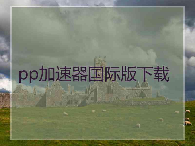 pp加速器国际版下载