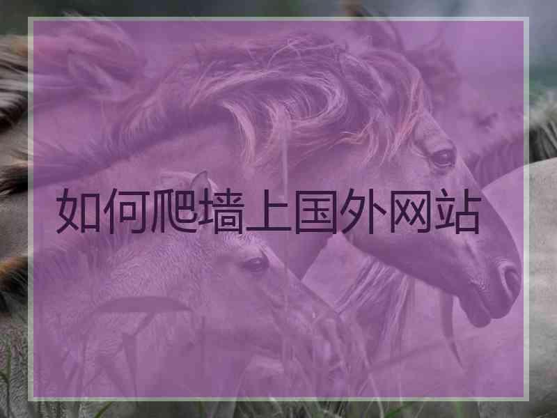 如何爬墙上国外网站
