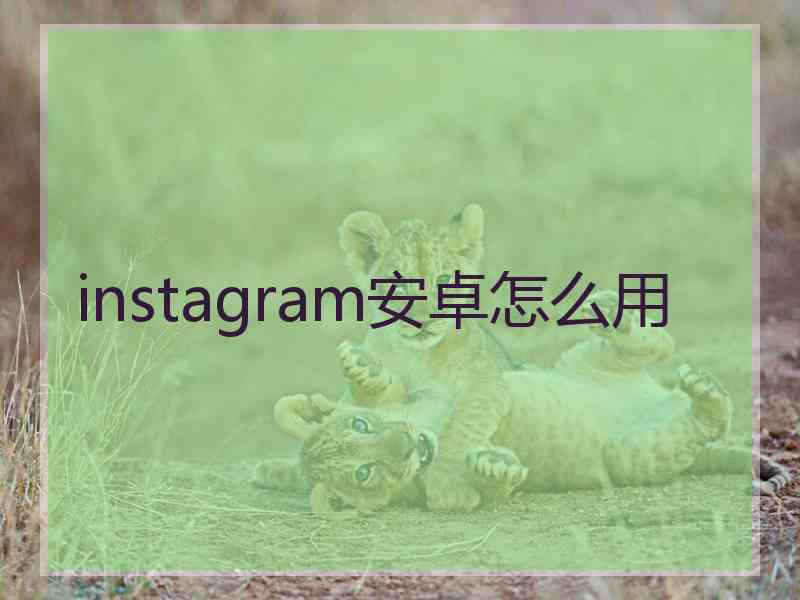 instagram安卓怎么用