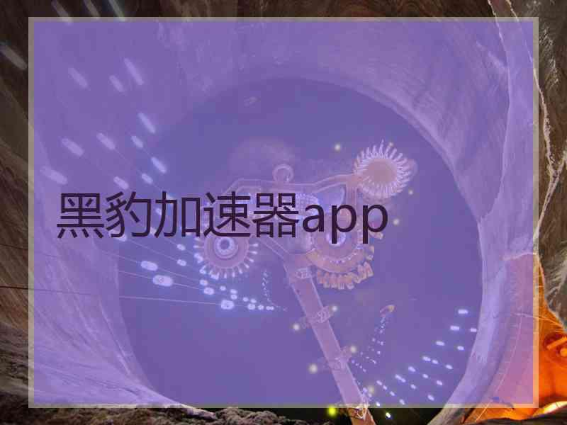 黑豹加速器app