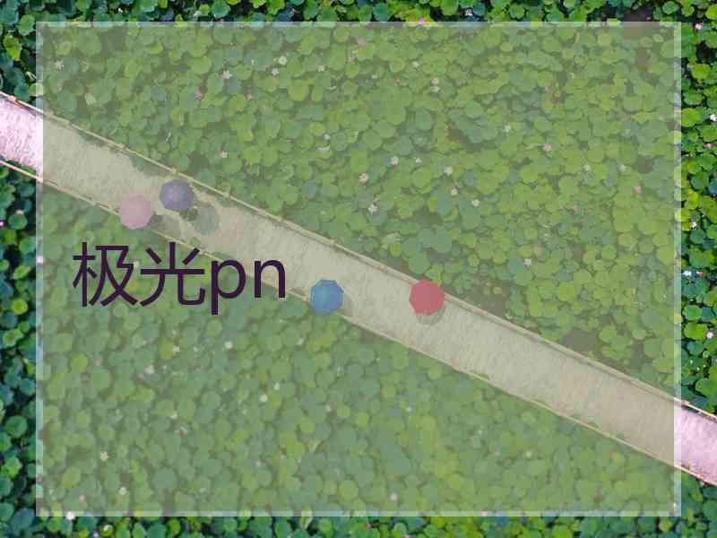 极光pn