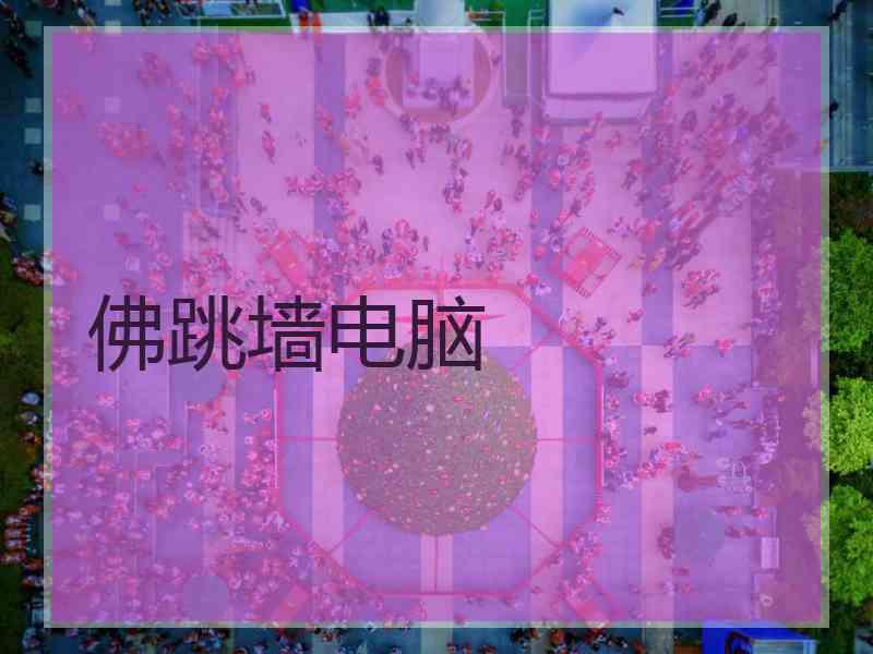 佛跳墙电脑