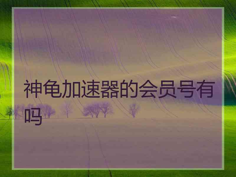 神龟加速器的会员号有吗
