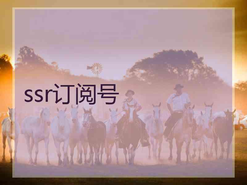 ssr订阅号