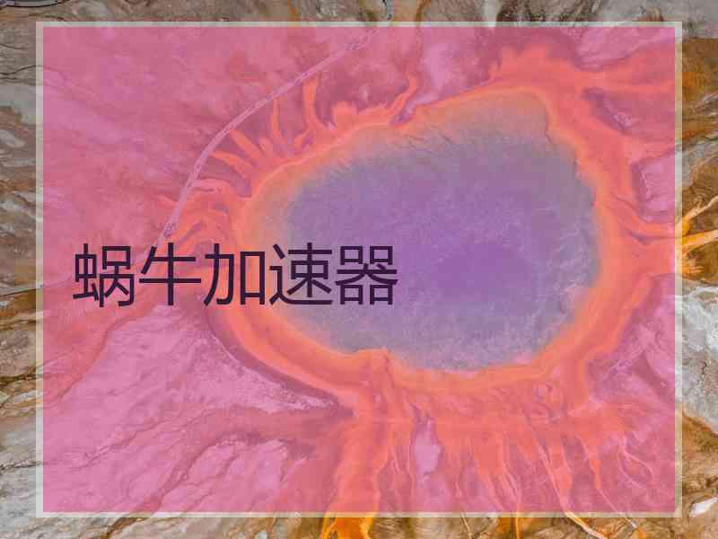 蜗牛加速器