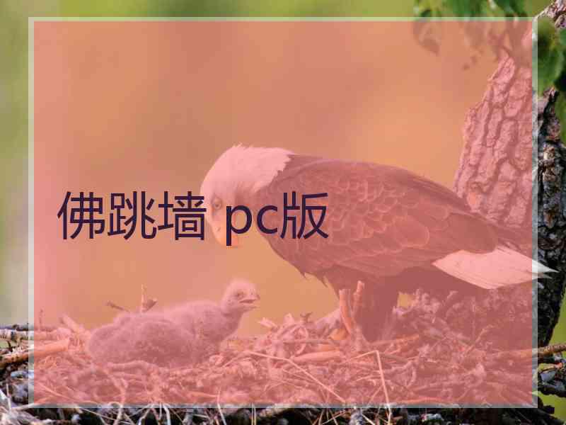佛跳墙 pc版