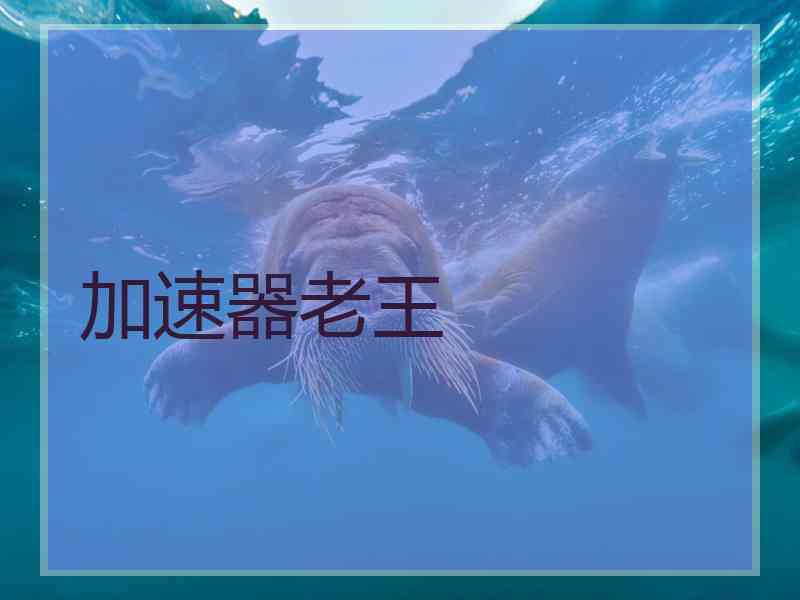 加速器老王