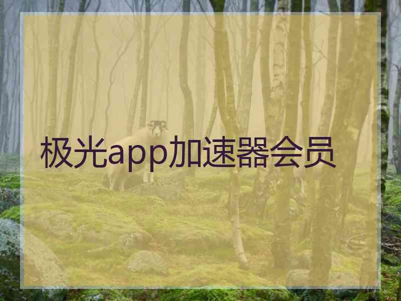 极光app加速器会员
