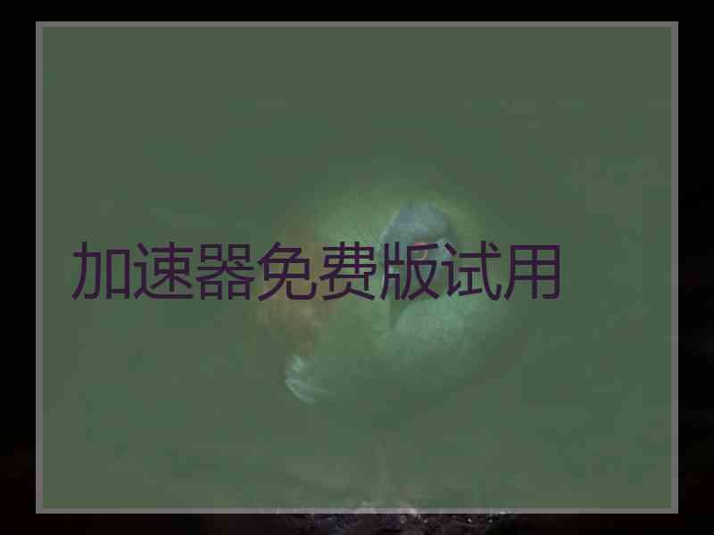 加速器免费版试用