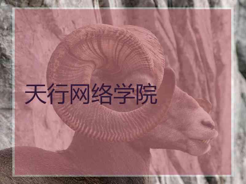 天行网络学院
