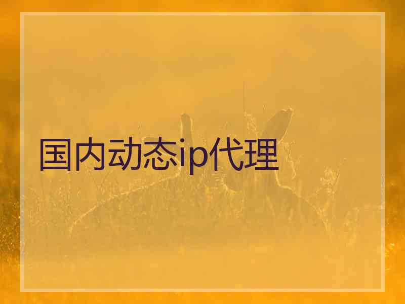 国内动态ip代理