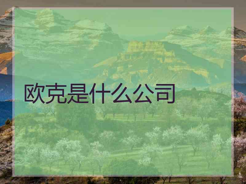欧克是什么公司