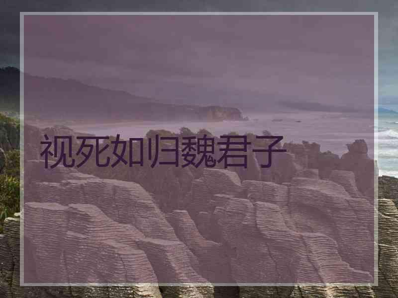 视死如归魏君子