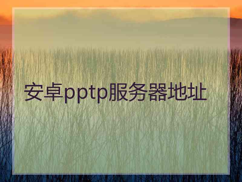 安卓pptp服务器地址