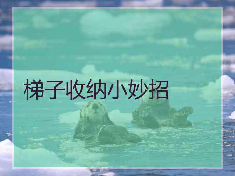 梯子收纳小妙招