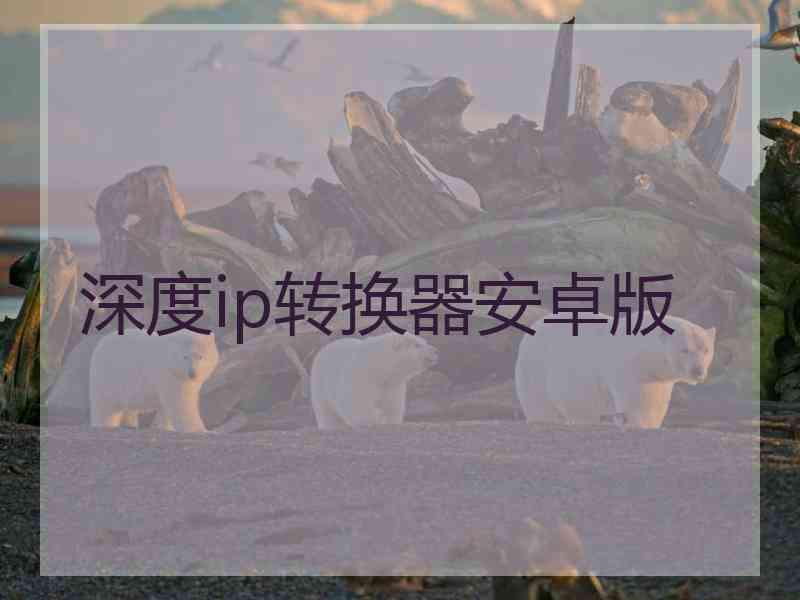 深度ip转换器安卓版
