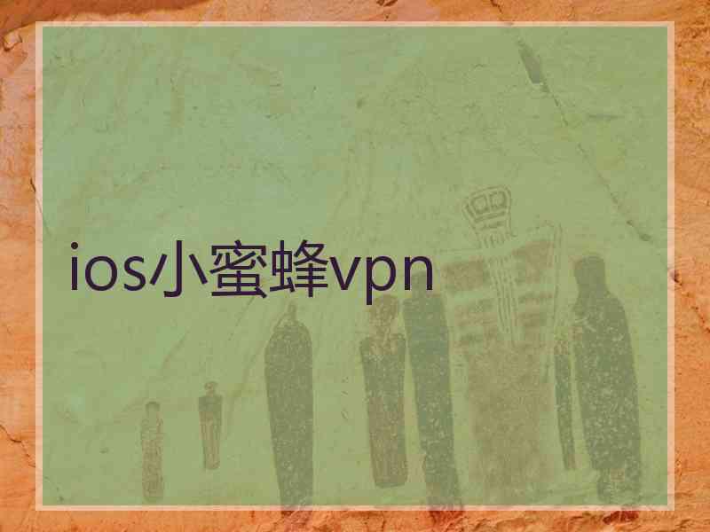 ios小蜜蜂vpn