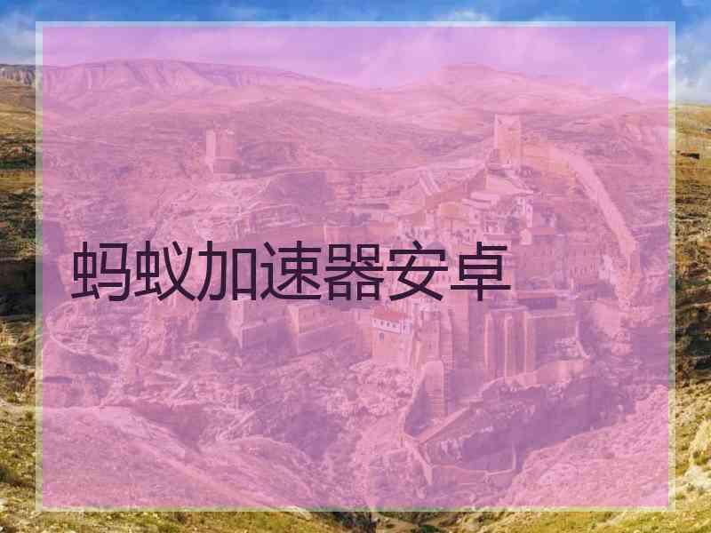 蚂蚁加速器安卓