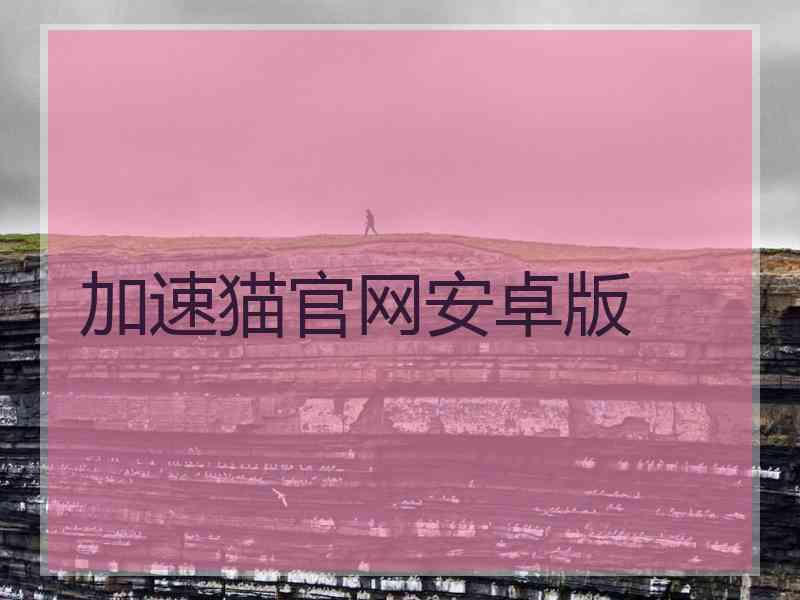 加速猫官网安卓版