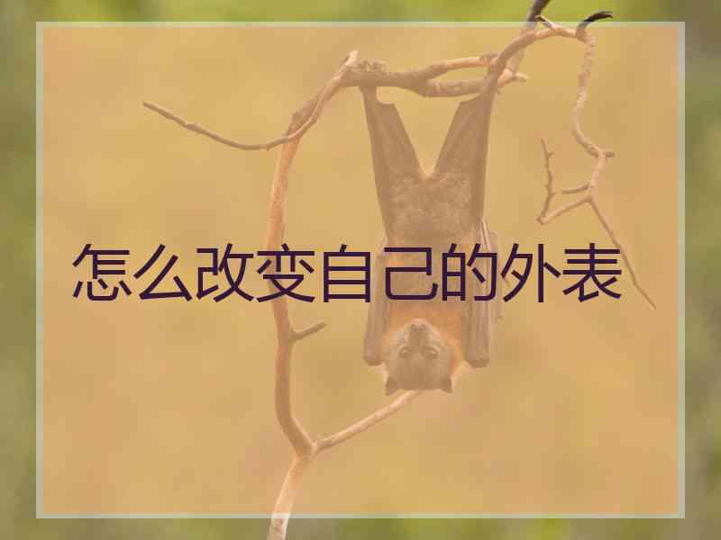 怎么改变自己的外表