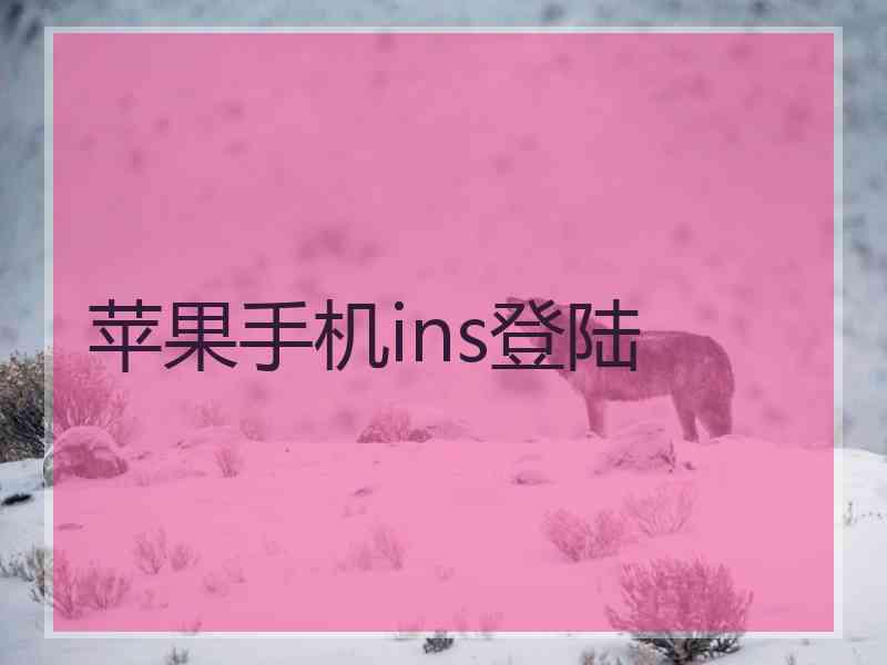 苹果手机ins登陆