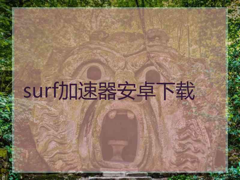 surf加速器安卓下载