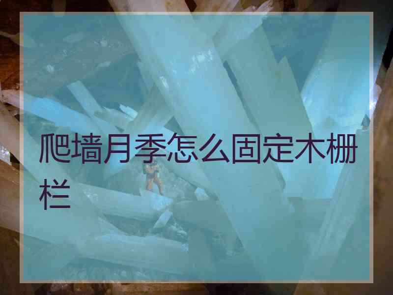 爬墙月季怎么固定木栅栏