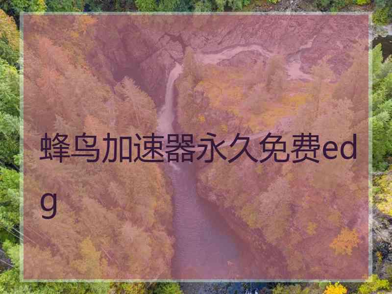 蜂鸟加速器永久免费edg