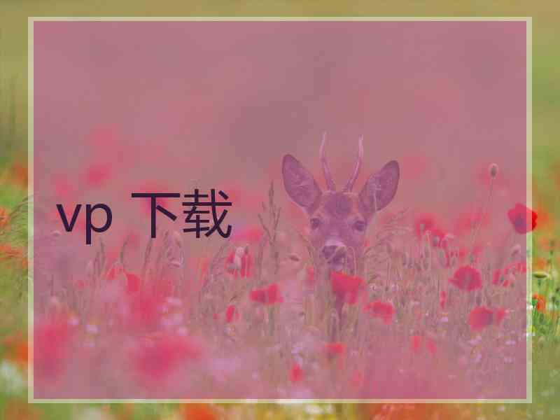 vp 下载