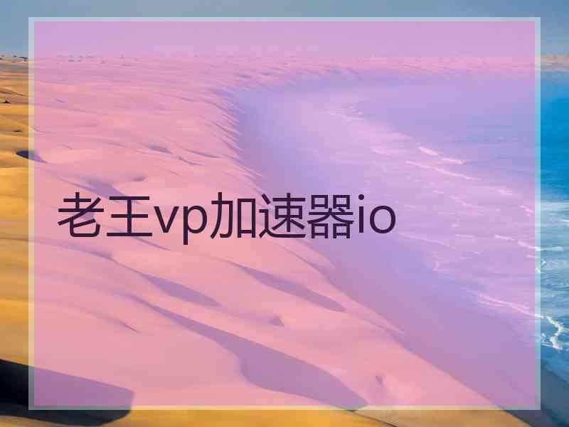 老王vp加速器io