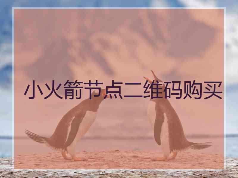 小火箭节点二维码购买