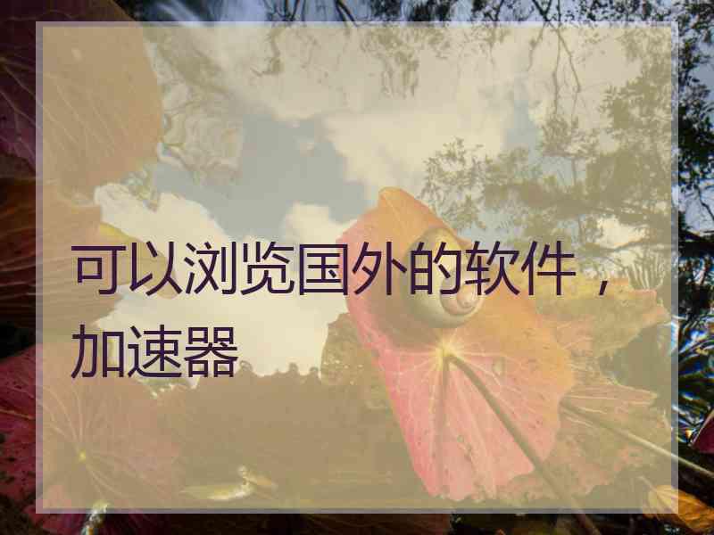 可以浏览国外的软件，加速器