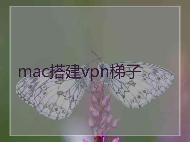 mac搭建vpn梯子