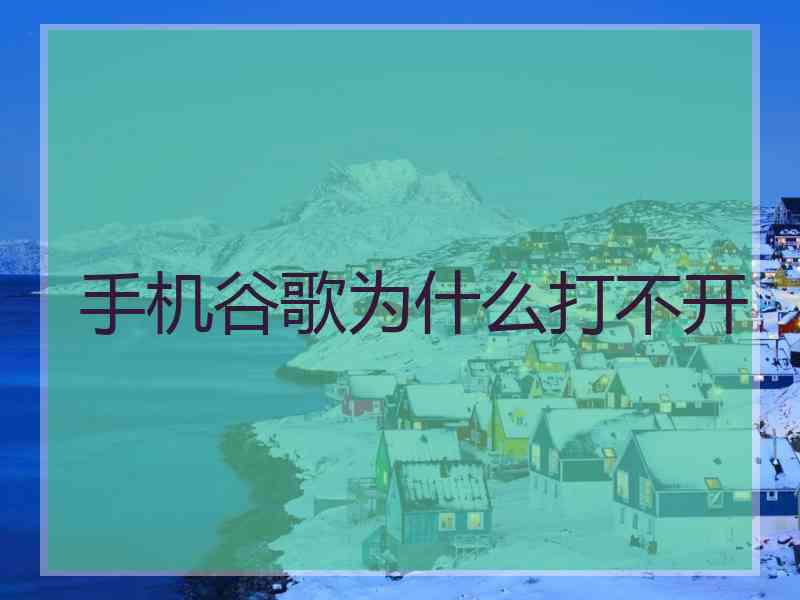 手机谷歌为什么打不开