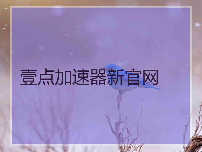 壹点加速器新官网