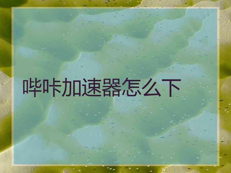 哔咔加速器怎么下