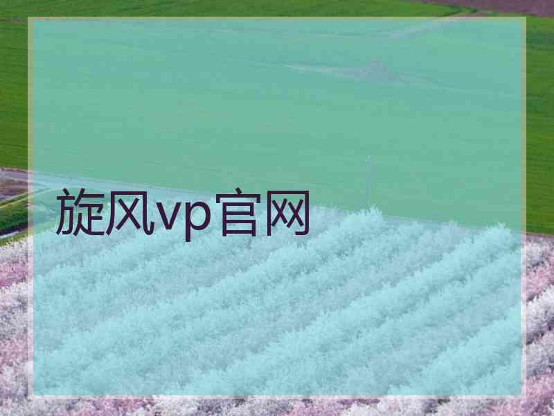 旋风vp官网