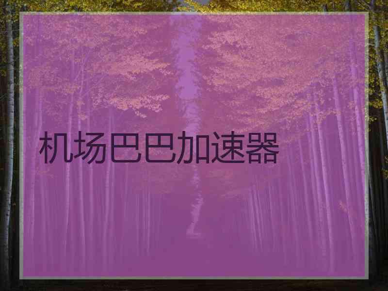 机场巴巴加速器